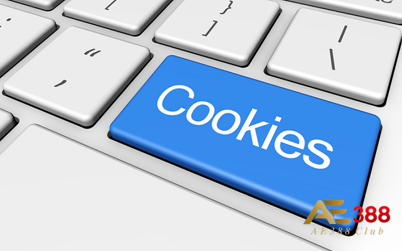 Người dùng có thể vô hiệu hóa cookie bất cứ lúc nào