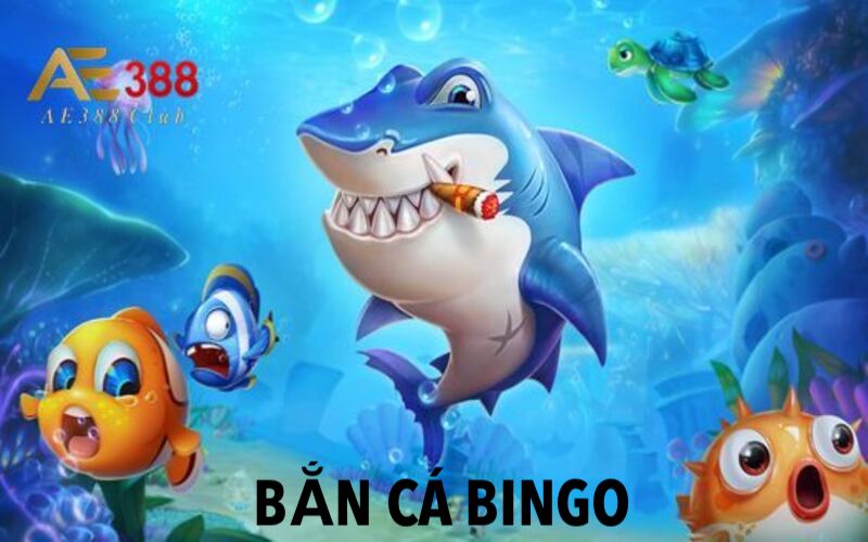 Bắn cá Bingo đầy tính giải trí và thú vị 